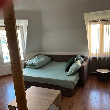 Bivolul Negru Apartment Blaj Bagian luar foto