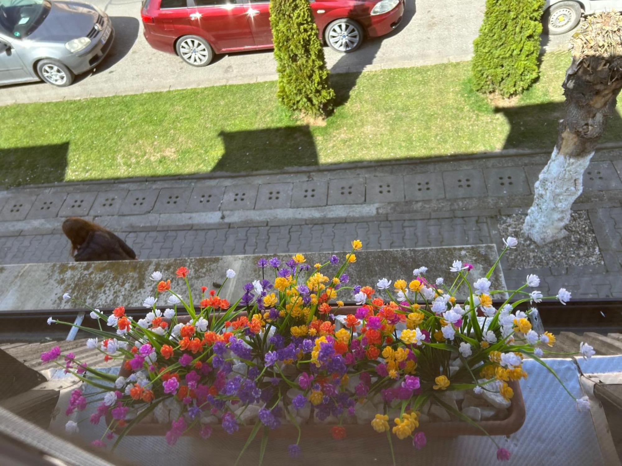 Bivolul Negru Apartment Blaj Bagian luar foto